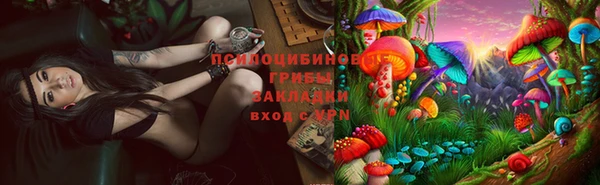 стафф Коряжма