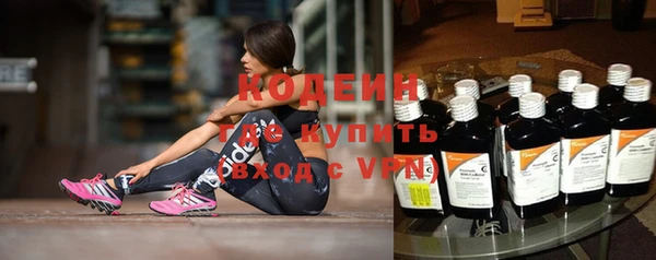 стафф Коряжма
