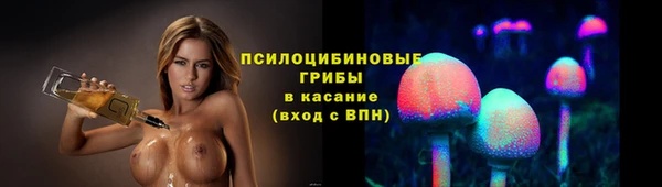 соль ск Костерёво