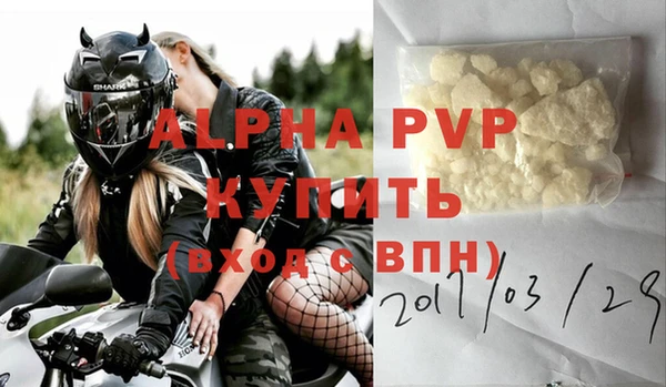 стафф Коряжма
