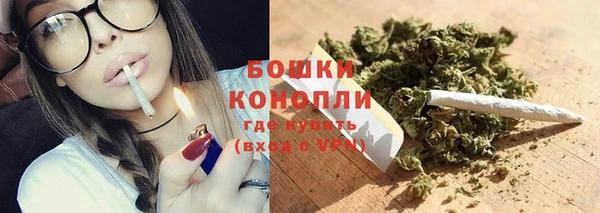 стафф Коряжма