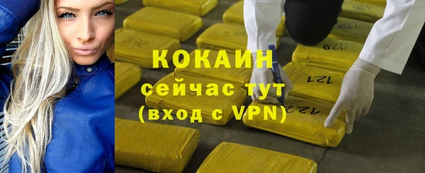 стафф Коряжма