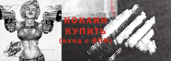 стафф Коряжма