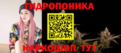 прущие грибы Донской