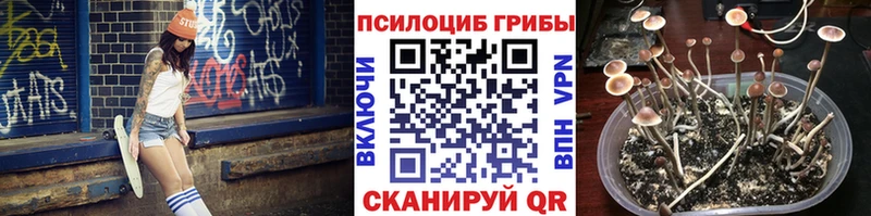 OMG ONION  Приморско-Ахтарск  Псилоцибиновые грибы ЛСД 